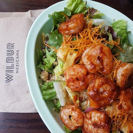 Wilbur Mexicana